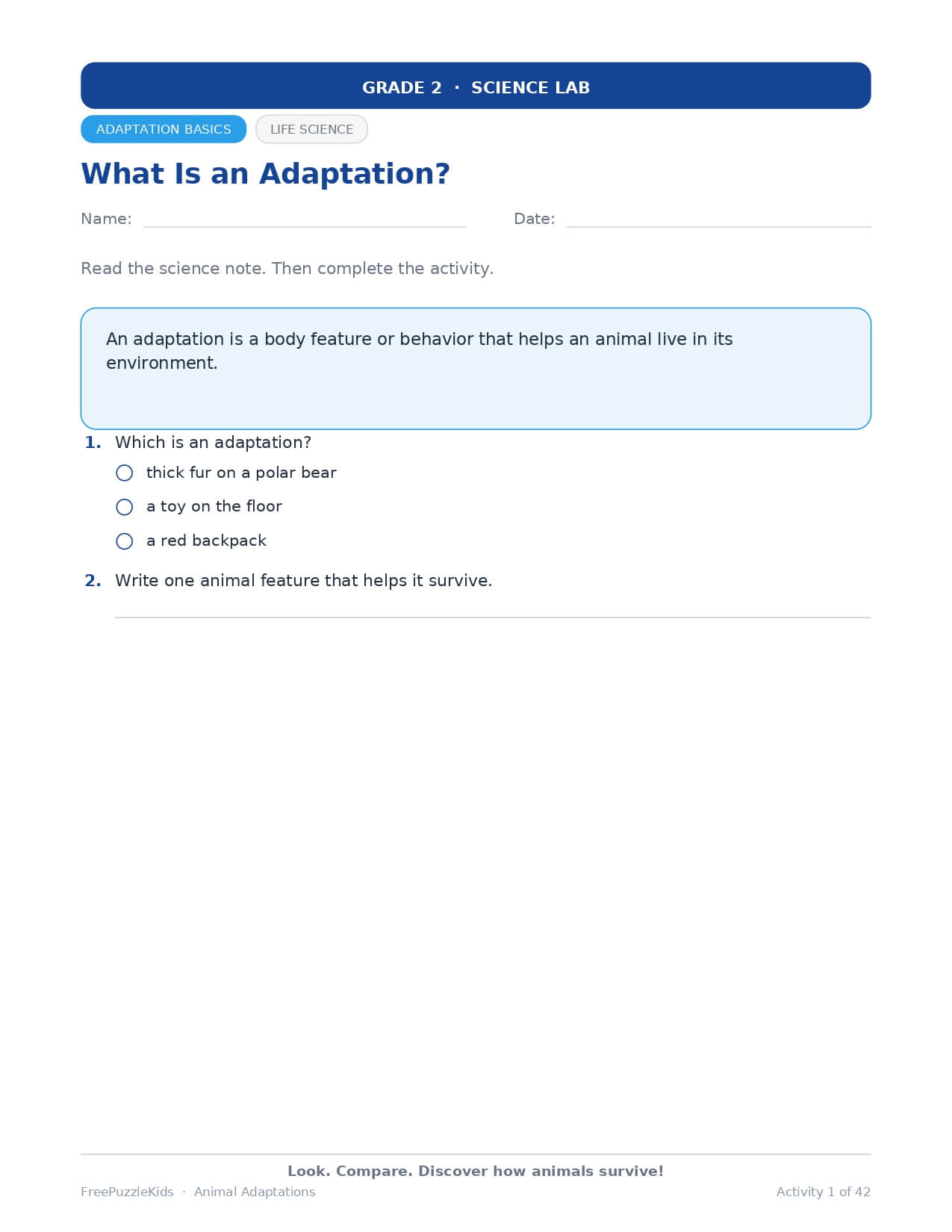 Animal Adaptations – Grade 2 – worksheet preview page 2