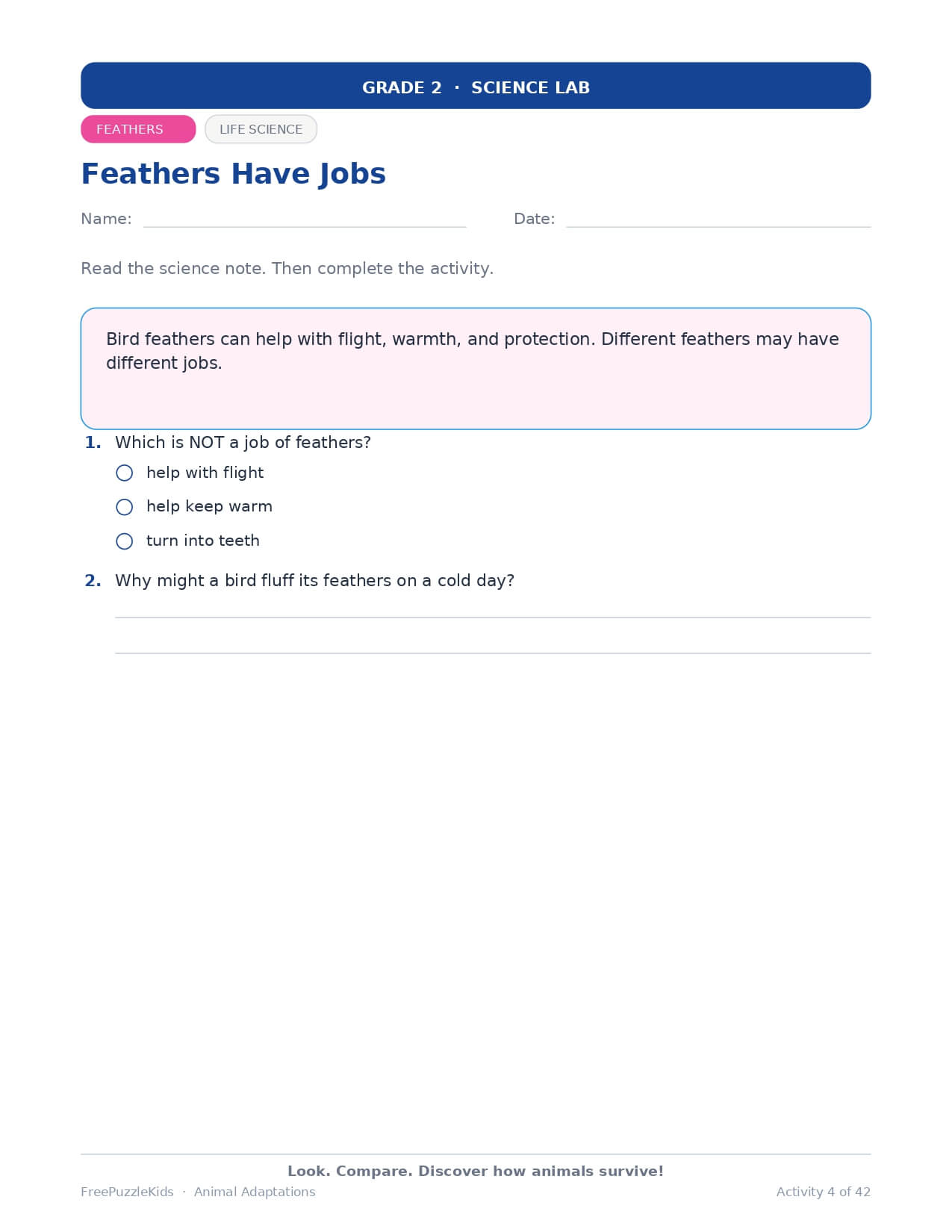 Animal Adaptations – Grade 2 – worksheet preview page 4