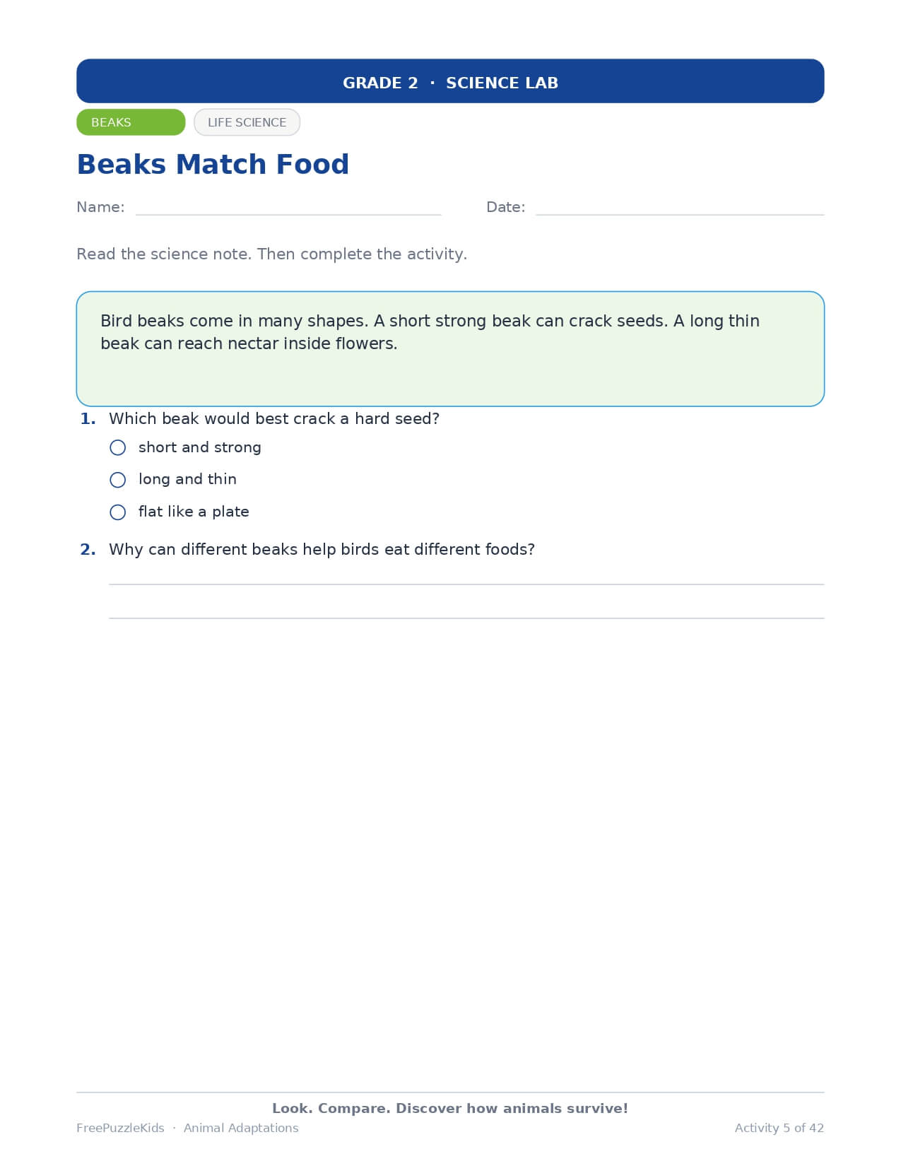 Animal Adaptations – Grade 2 – worksheet preview page 5