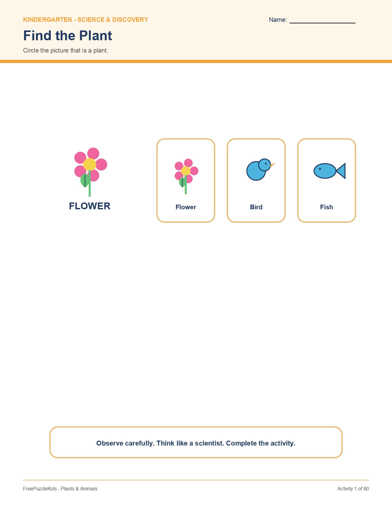 Plants & Animals – worksheet preview page 2