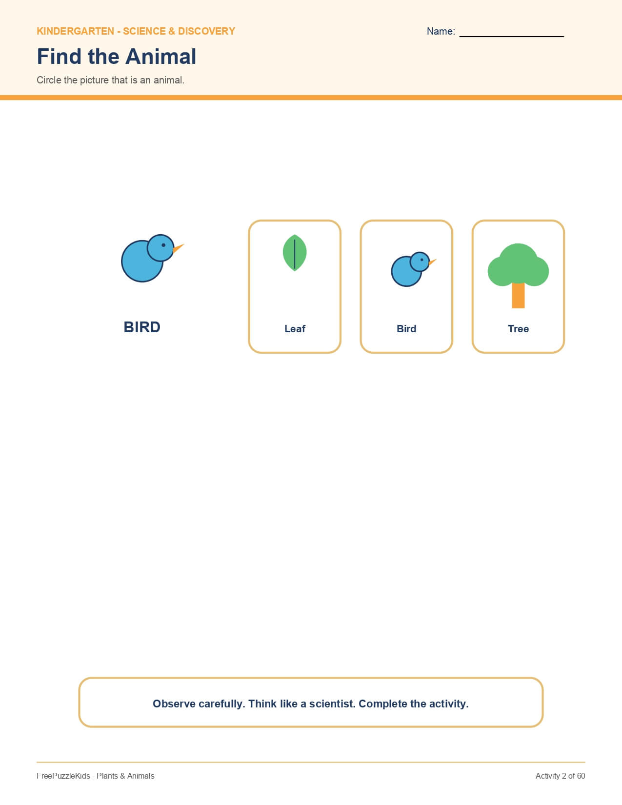 Plants & Animals – worksheet preview page 3