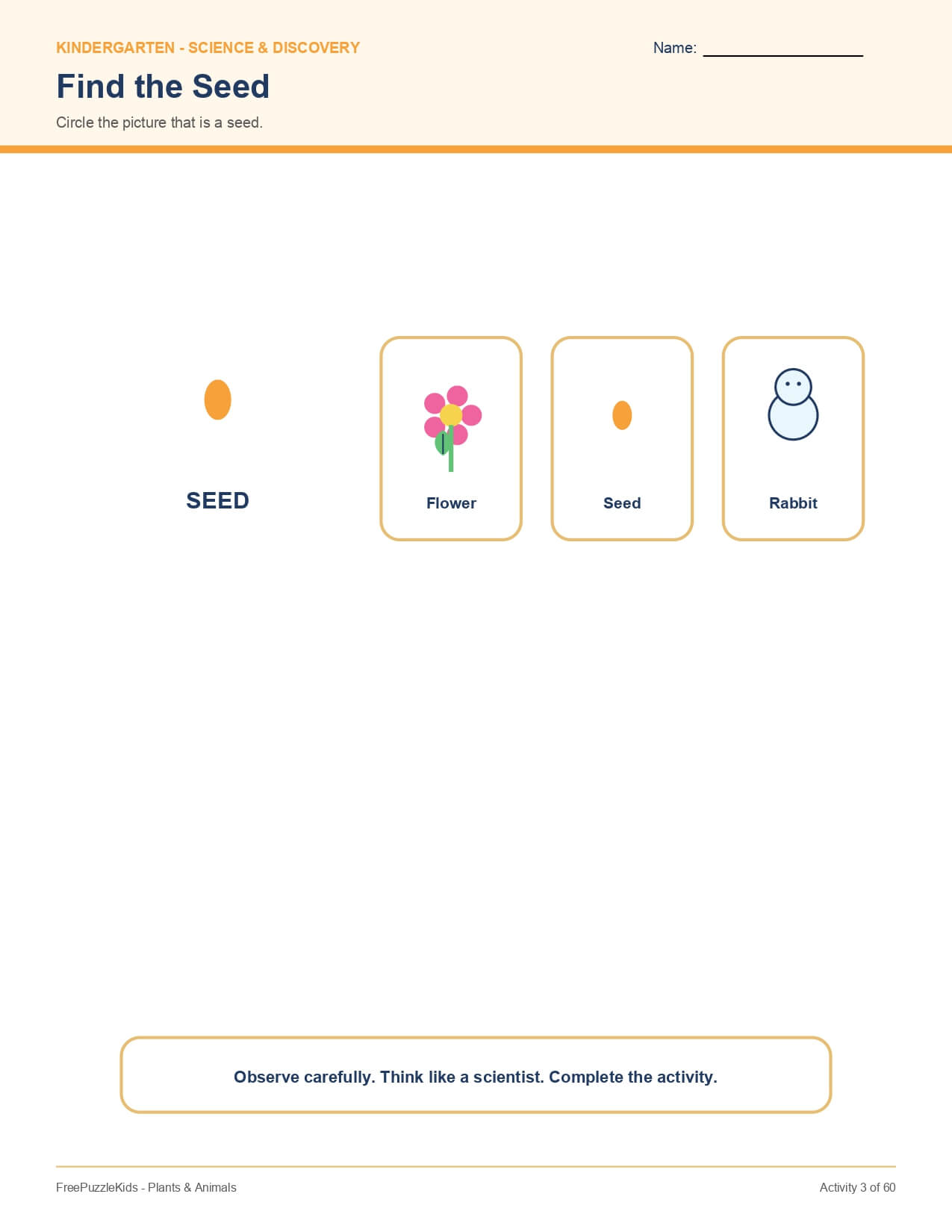 Plants & Animals – worksheet preview page 4