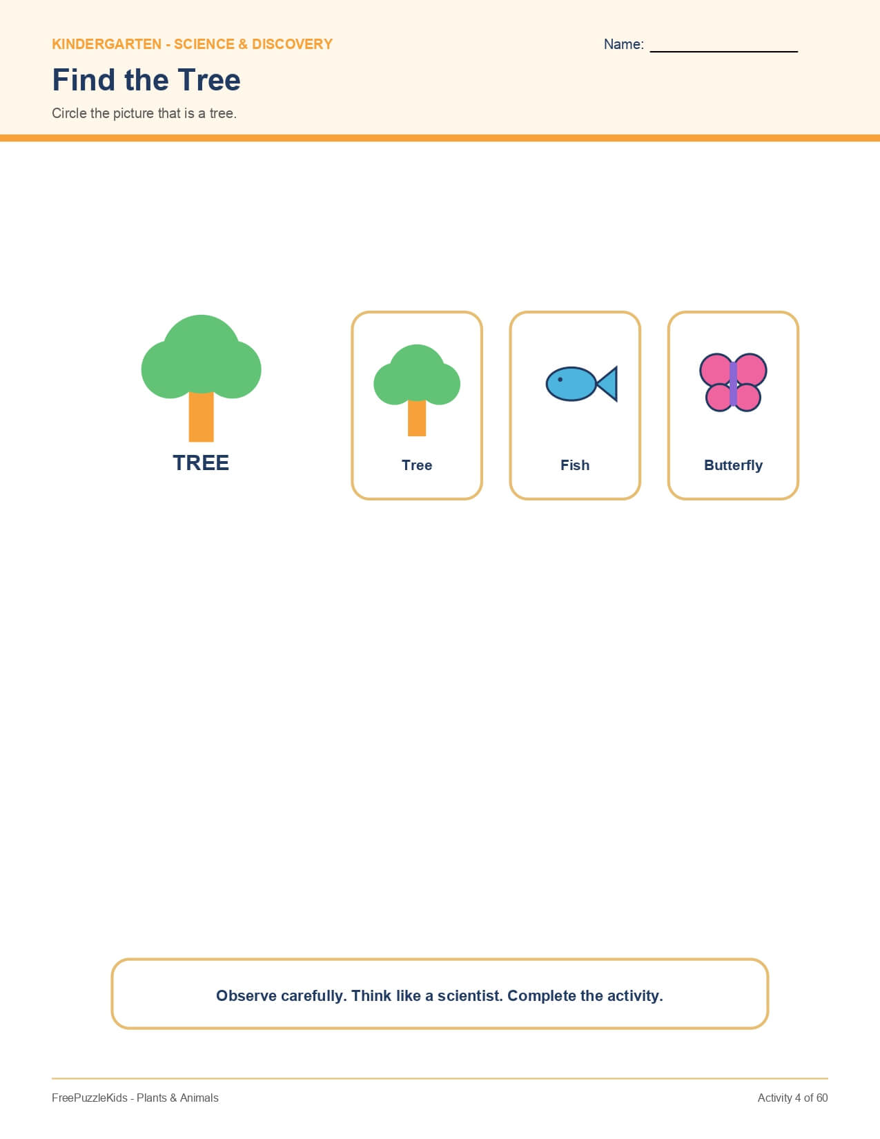 Plants & Animals – worksheet preview page 5