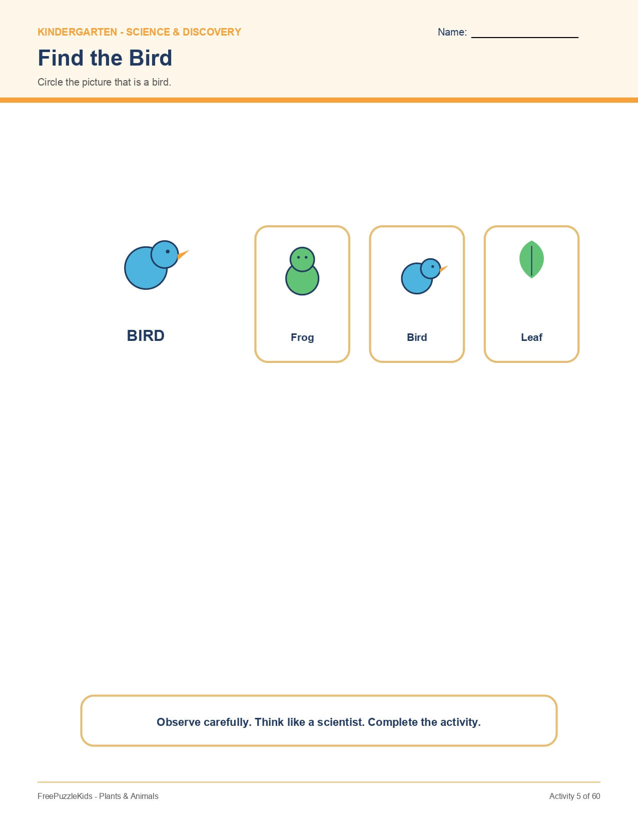 Plants & Animals – worksheet preview page 6