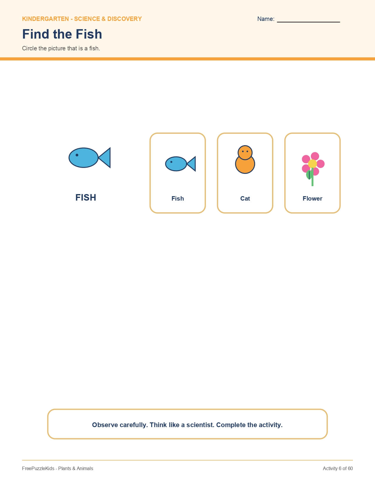 Plants & Animals – worksheet preview page 7